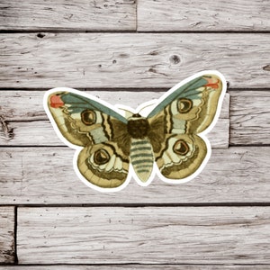 Emperor Moth Sticker, Moth Sticker, Entomology Sticker, Insect Sticker, Bug Sticker, Waterproof Sticker, Nature Sticker