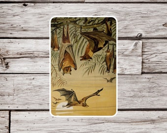 Bat Sticker, Natural History Sticker, Animal Sticker, Science Sticker, Vintage Bat Sticker, Wildlife Sticker, Nature Sticker