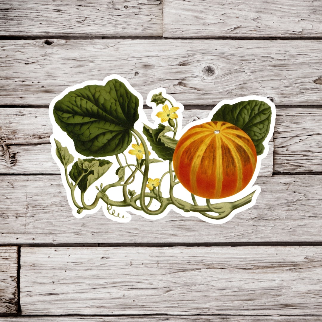 Gourd Sticker or Magnet, Gourd Sticker, Waterproof Sticker, Fall ...