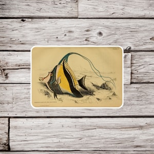 Moorish Idol Sticker, Natural History Sticker, Vintage Fish Sticker, Tropical Fish Sticker, Ocean Sticker, Beach Sticker