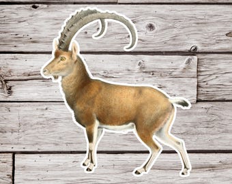 Könnte beinhalten: Ein Aufkleber mit einer detaillierten Illustration eines Steinbocks, einer Bergziege mit großen, gebogenen Hörnern. Der Steinbock ist in Braun- und Beigetönen mit weißer Kontur dargestellt, vor einem Holzmaserungshintergrund.
