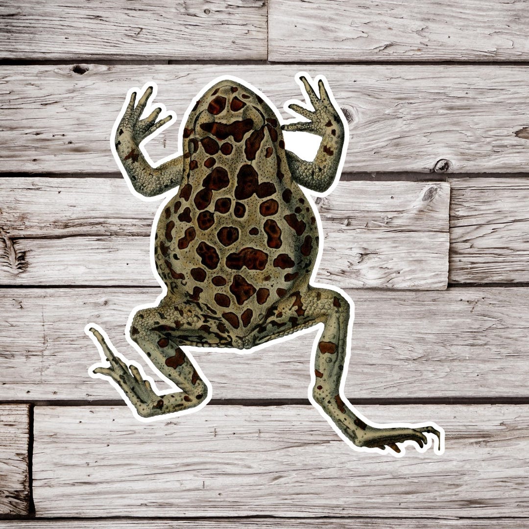 Toad Panic Sticker Toad Sticker, Amphibian Sticker, Waterproof Sticker, Frog Sticker, Pond ...