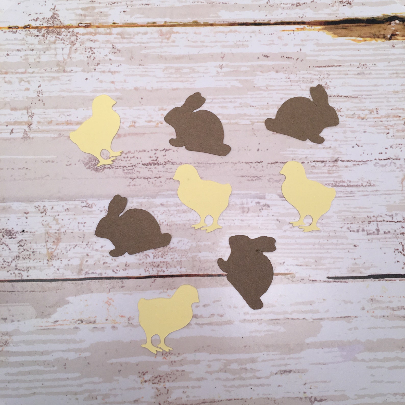 Bunny Confetti Set Bunny Confetti Bunny Cut Out Animal Etsy