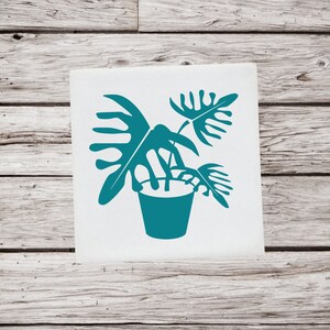 House Plant Decal, House Plant Sticker, Plant Decal, Succulent Plant Sticker, Potted Plant Decal, Plant Decoration, Window Decal, Cup Decal