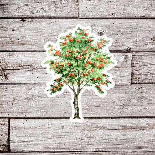 Rowan Tree Sticker, Mountain Ash Sticker, Tree Sticker, Botanical Sticker, Waterproof Sticker, Nature Sticker, Plant Sticker