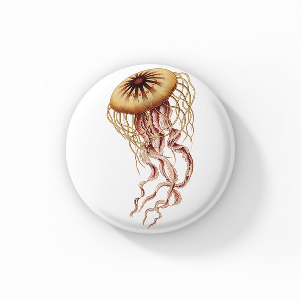 Jellyfish Pin, Jellyfish Pin Back Button, Ocean Pin, Natural History Pin, Vintage Jellyfish Print Pin, Sea Life Pin
