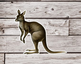 May include: A brown kangaroo with a long tail standing on a wooden background.