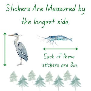 May include: Illustration of a blue heron and a shrimp, both measuring 3 inches in length. The text "Stickers Are Measured by the longest side. Each of these stickers are 3in." is written in green.