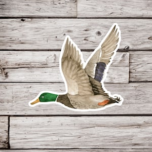 Mallard Sticker, Duck Sticker, Bird Sticker, Waterproof Sticker, Wildlife Sticker, Animal Sticker, Nature Sticker