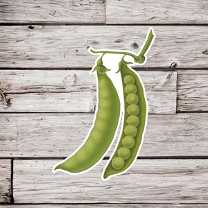 Pea Sticker, Pea Pod Sticker, Peas Sticker, Vegetable Sticker, Botanical Sticker, Garden Sticker, Waterproof Sticker, Plant Sticker