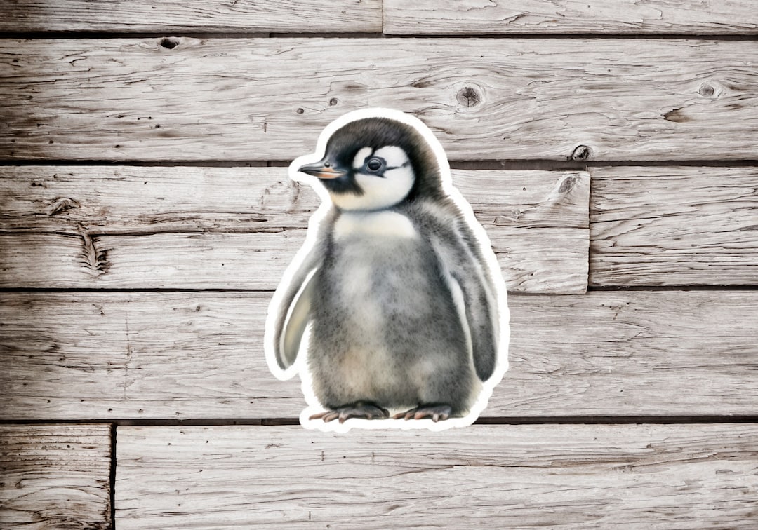Peguin Sticker Penguin Sticker, Penguin Chick Sticker, Bird Sticker, Waterproof ...