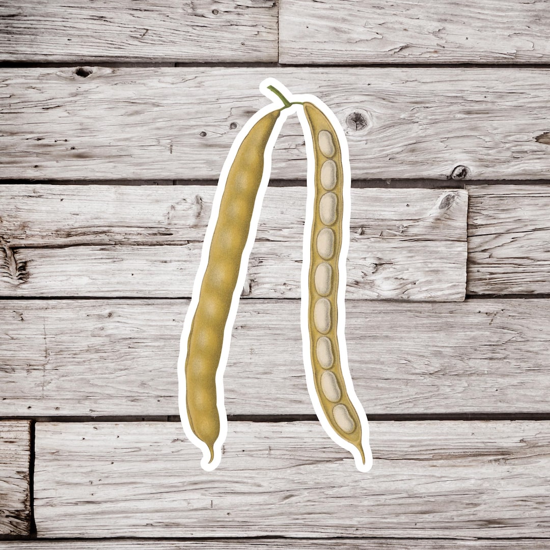 Wax Beans Sticker, Butter Bean Sticker, Yellow Bean Sticker, Vegetable ...