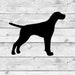 English Pointer Decal | English Pointer Vinyl Decal | English Pointer ...