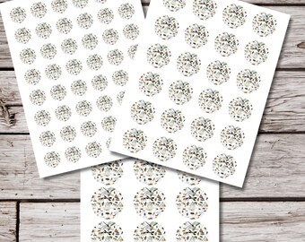 Insect Sticker Sheet, Vintage Insect Stickers, Natural History Entomology Stickers, Round Planner Stickers, Bug Lover Gift