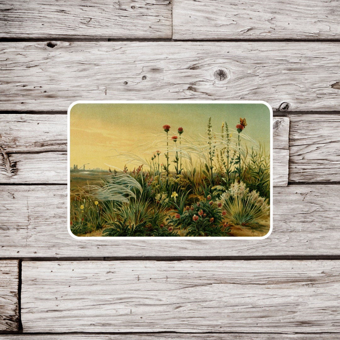 Prairie Sticker, Desert Sticker, Wildflower Sticker, Vintage Landscape ...