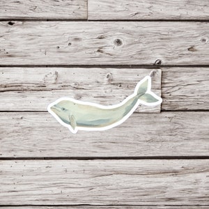 Beluga Whale Sticker, Beluga Sticker, Whale Sticker, White Whale Sticker, Waterproof Sticker, Watercolor Beluga Whale Sticker, Ocean Sticker