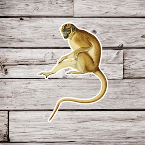 May include: A sticker featuring a vintage illustration of a monkey in shades of tan and brown. The monkey is depicted in a seated position with its long tail extending downward. The sticker has a white border and is set against a wood-grain background.