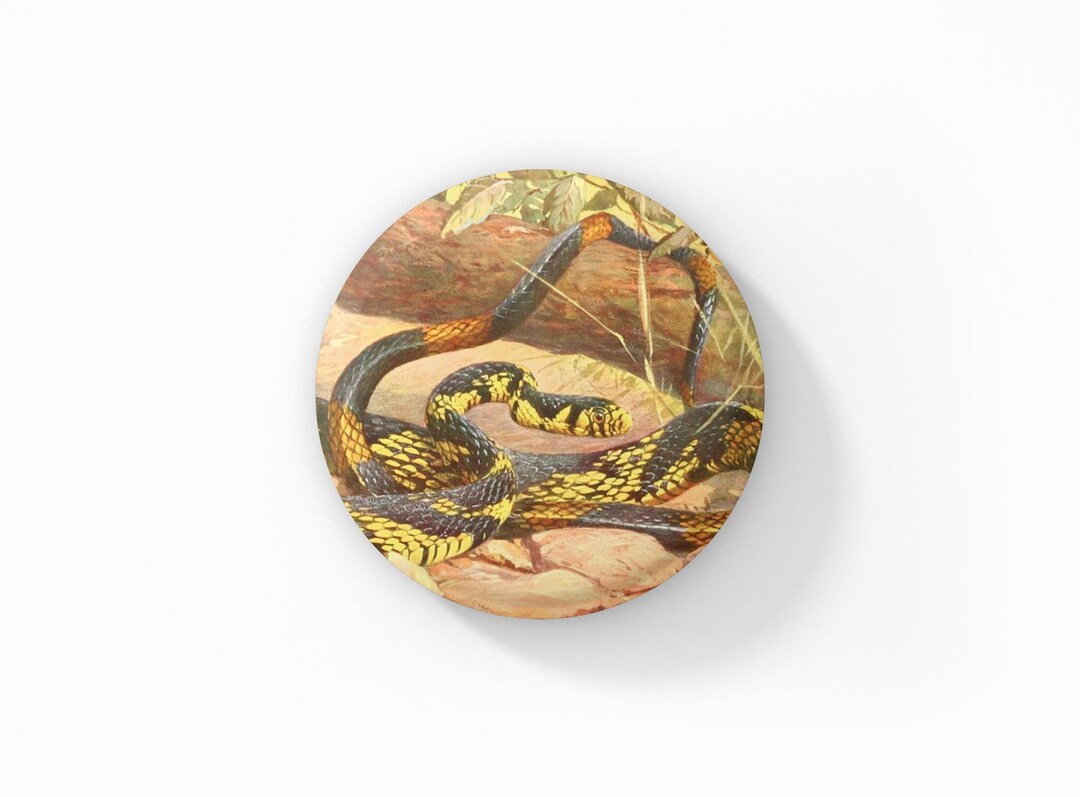 Snake Key Pin Snake Pin Button, Snake Keychain, Snake Magnet, Wildlife Pin, Nature ...