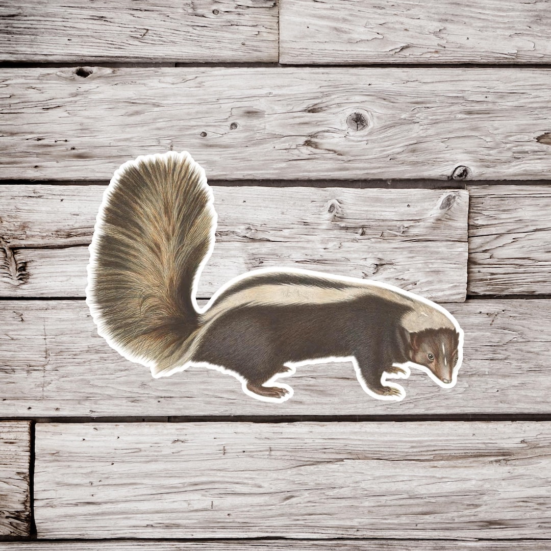 Skunk Sticker Skunk Sticker, Vintage Skunk Sticker, Waterproof Sticker, Animal ...