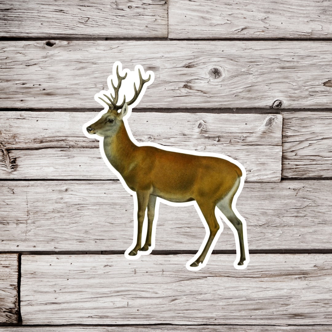 Deer Sticker, White Tail Deer Sticker, Stag Sticker, Buck Sticker ...