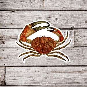 Crab Sticker, Crustacean Sticker, Ocean Sticker, Beach Sticker, Natural History Sticker, Waterproof Sticker, Vintage Crab Sticker
