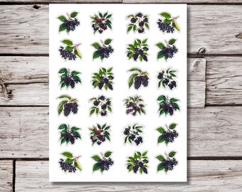 May include: A white sheet of stickers featuring watercolor illustrations of elderberry branches with dark purple berries and green leaves. The stickers are arranged in a grid pattern, perfect for crafting or decorating.