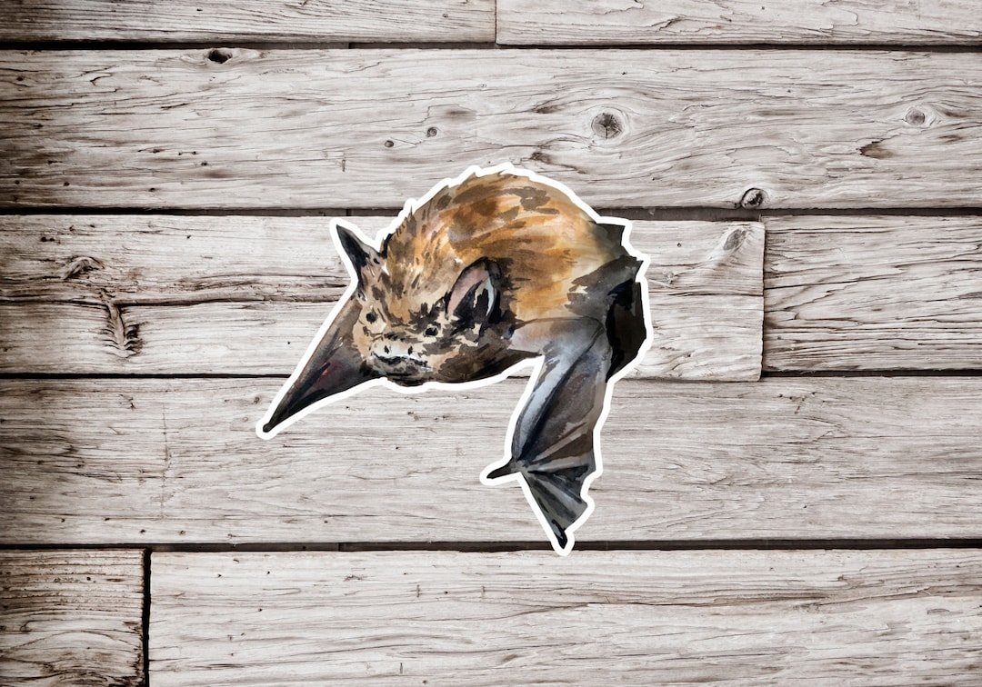 Bat Sticker, Watercolor Bat Sticker, Animal Sticker, Waterproof Sticker ...