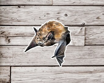 Bat Sticker, Watercolor Bat Sticker, Animal Sticker, Waterproof Sticker, Wildlife Sticker, Nature Sticker, Mammal Sticker