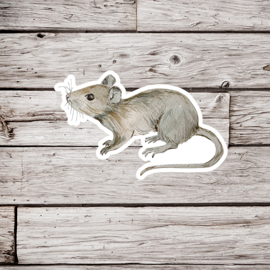 Mouse Sticker Guid Mouse Sticker, Waterproof Sticker, Field Mouse Sticker, Animal Sticker ...