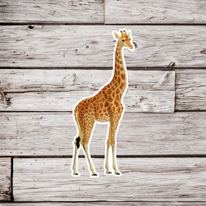 Giraffe Sticker, Animal Sticker, Wildlife Sticker, Safari Sticker, Waterproof Sticker, Vintage Giraffe Sticker, Natural History Sticker