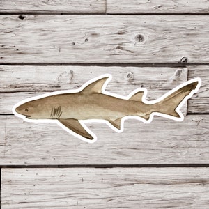 Lemon Shark Sticker, Shark Sticker, Waterproof Sticker, Ocean Sticker, Beach Sticker, Wildlife Sticker, Nature Sticker