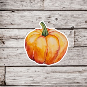 Pumpkin Sticker, Squash Sticker, Gourd Sticker, Garden Sticker, Fall Sticker, Autumn Sticker, Halloween Sticker, Thanksgiving Sticker