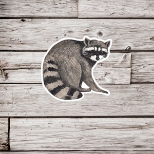 Raccoon Sticker or Magnet, Raccoon Sticker, Raccoon Magnet, Animal Sticker, Waterproof Sticker, Raccoon Magnet, Animal Magnet