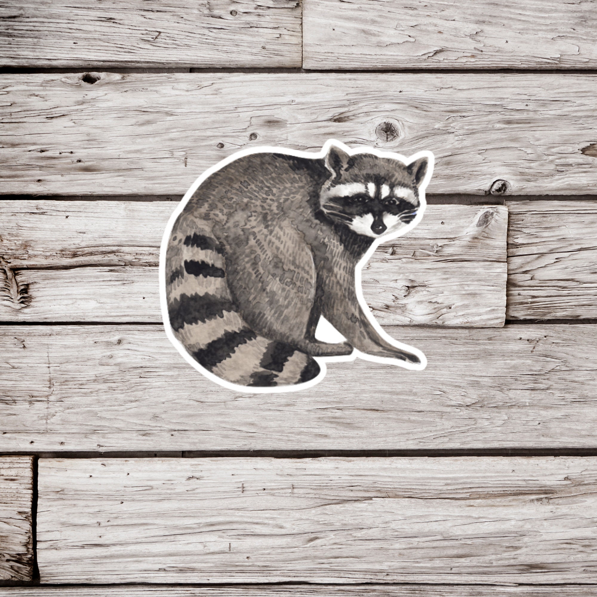 Shoe Rack Raccoon Sticker Raccoon Sticker, Animal Sticker, Wildlife Sticker, Waterproof Sticker ...