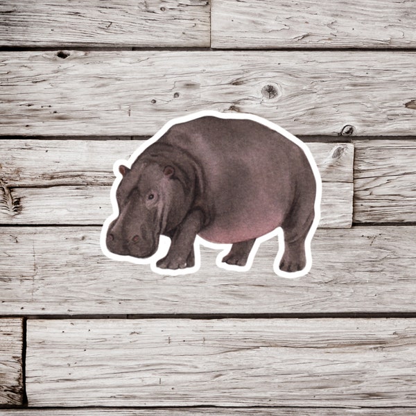 Hippo Sticker or Magnet, Hippo Sticker, Hippo Magnet, Hippopotamus Sticker, Waterproof Sticker, Hippopotamus Magnet