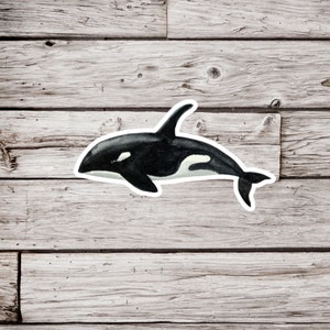 Orca Whale Sticker, Orca Sticker, Whale Sticker, Killer Whale Sticker, Waterproof Sticker, Ocean Sticker, Beach Sticker