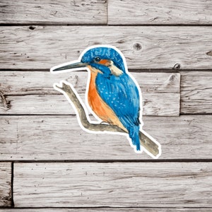 Kingfisher Sticker, Bird Sticker, Wildlife Sticker, Animal Sticker, Nature Sticker