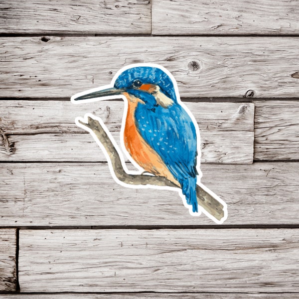 King Fisher Sticker or Magnet, King Fisher Sticker, Natural History Sticker, Bird Sticker, King Fisher Magnet