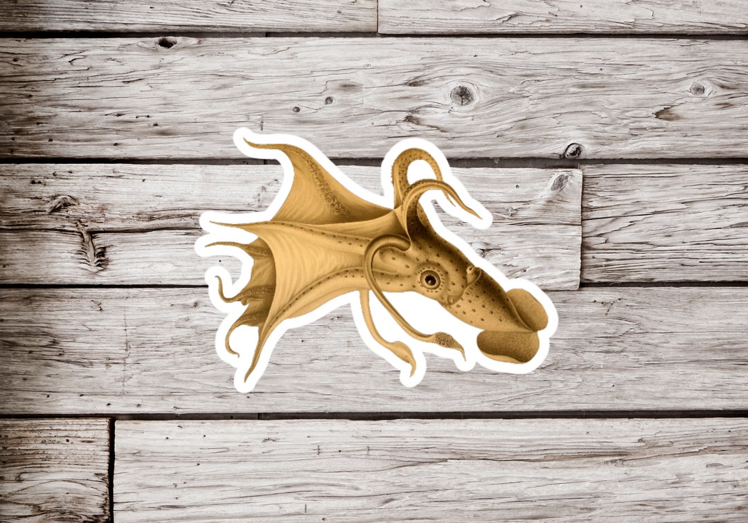 Squid Sticker, Octopus Sticker, Ocean Sticker, Sea Creature Sticker ...