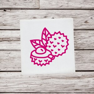 Lychee Decal, Lychee Sticker, Lychee Decoration, Fruit Decal, Tropical Fruit Decal, Food Decal, Car Decal, Window Decal, Cup Decal