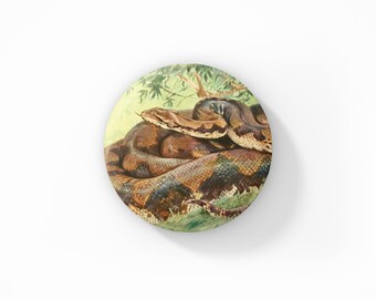 Snake Pin Button, Snake Keychain, Snake Magnet, Wildlife Pin, Nature Pins, Natural History Pins, Snake Gift, Vintage Snake Pin