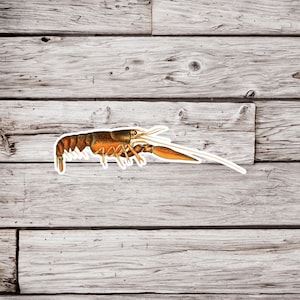 Crayfish Sticker, Crawfish Sticker, Crawdad Sticker, Crustacean Sticker, Waterproof Sticker, Natural History Sticker, Wildlife Sticker