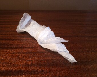 Dryer Sheet Parrot