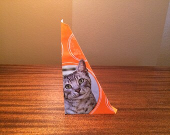 Cat Food Cone