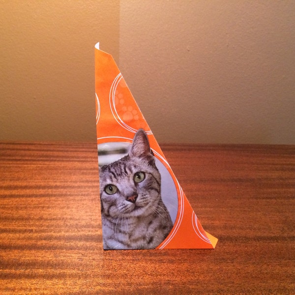 Cat Food Cone