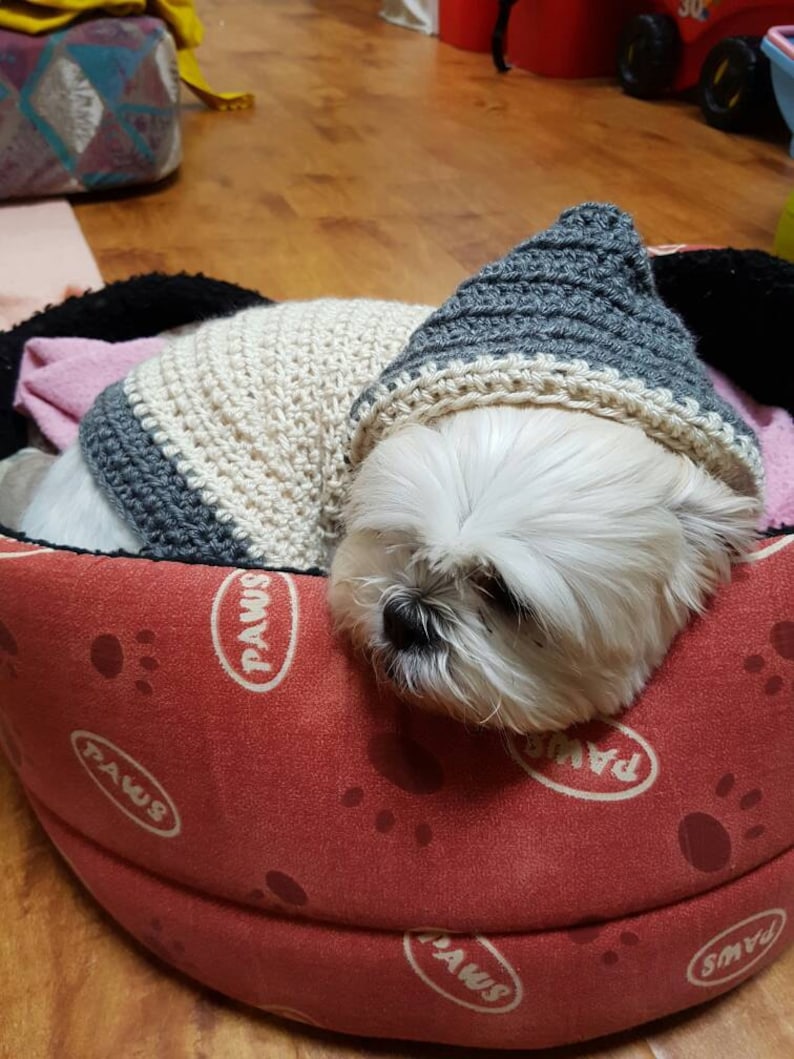 Lou Lou Easy Crochet Dog Hoodie image 4