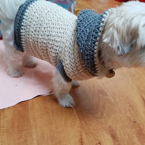 Lou Lou Easy Crochet Dog Hoodie image 5