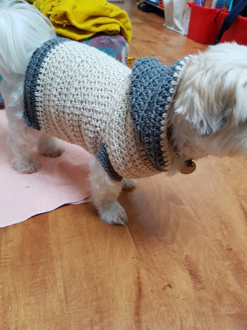 Lou Lou Easy Crochet Dog Hoodie image 5