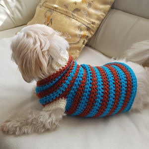 Lou Lou Sporty Dog Sweater Pattern