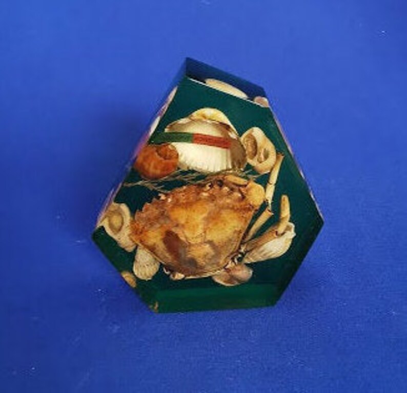 Lucite Sea Shells Crab Paperweight Vintage 1960s Kitsch Portugal Etsy